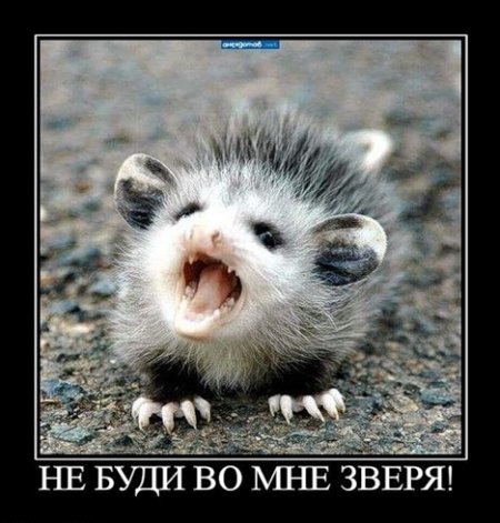 ***Victoria Viktorovna*** - 4  2019  09:26
