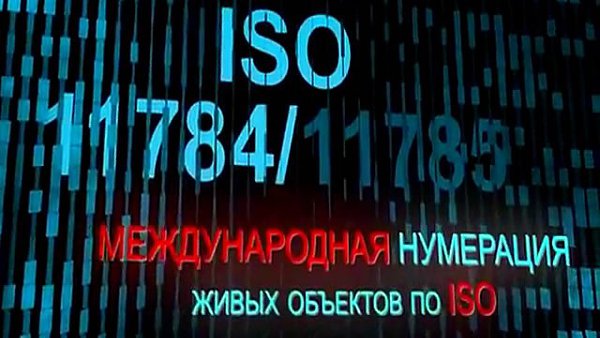    - 28  2019  10:00
