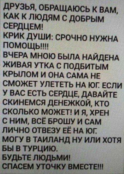 ����. - 24 ������� 2019 � 11:40