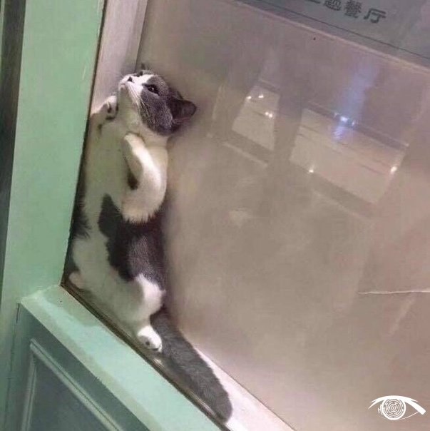 ��� � ������� �������� �� �������: