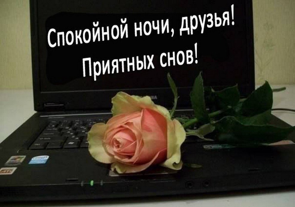   ,    . - 2  2019  21:05