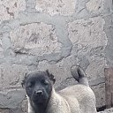 ���� ����, �����������, 46 ��� - ��������� 8 ���� 2019