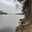 ���� �������, ������ ����� - ��������� 11 ��� 2019 � ������ ������ ��������
