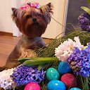 ���� Zavinta Harrinton, ������ - ��������� 20 ������ 2019 � ������ ���� ����������