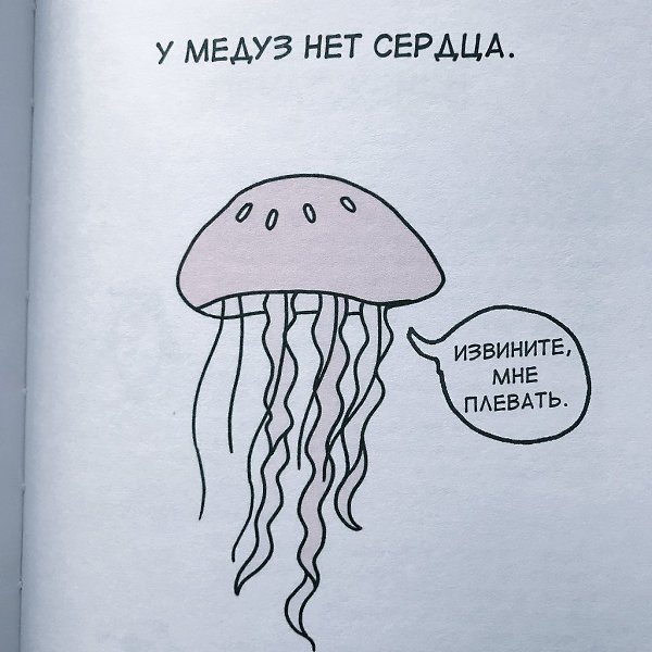 Состояние на конец года: «Грустные факты о животных» Брук Баркер - 10