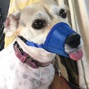 ���� �����, �������� - ��������� 9 ������� 2019 � ������ ������ ��������