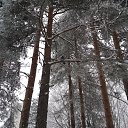 ���� Nik, ������������, 56 ��� - ��������� 11 ������ 2019 � ������ ���� ����������
