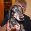 ���� ����������, ������, 63 ���� - ��������� 2 �������� 2019 � ������ ���� ����������