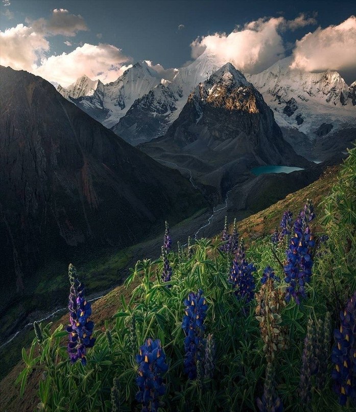 ���� � ���� ������� �����, ��� �� ������� �� ��� � ����� ����. - 5