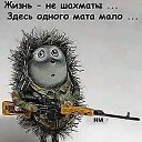 ���� ����, �������� - ��������� 2 ������ 2020 � ������ ���� ����������