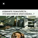 ���� ������, ������, 69 ��� - ��������� 31 ������� 2019 � ������ ���� ����������