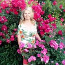 ���� ����, ������-��-����, 67 ��� - ��������� 6 ���� 2019 � ������ ���� ����������