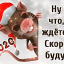 ���� ������, ������ - ��������� 31 ������� 2019 � ������ ���� ����������