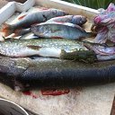  , , 55  -  20  2019   titov.70