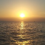 �����, 49 ���, ������