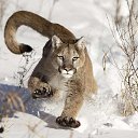 ���� ��������, ������, 69 ��� - ��������� 16 ������ 2019 � ������ ������ ��������