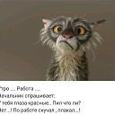 ���� Ruslan, ������, 42 ���� - ��������� 19 ������� 2019 � ������ ���� ����������