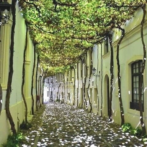 А Вы когда нибудь,скучали... Чтоб так до замирания,души. Ответы на свои вопросы, Искали,чтоб потом ...
