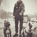 ���� �������, ������������, 39 ��� - ��������� 6 ������ 2019 � ������ ���� ����������