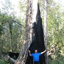 ���� �����, ����-���, 50 ��� - ��������� 8 ���� 2019 � ������ ���� ����������