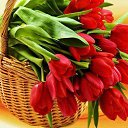 ���� Zavinta Harrinton, ������ - ��������� 14 ������ 2019 � ������ ���� ����������
