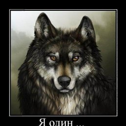 Vlad, �����������