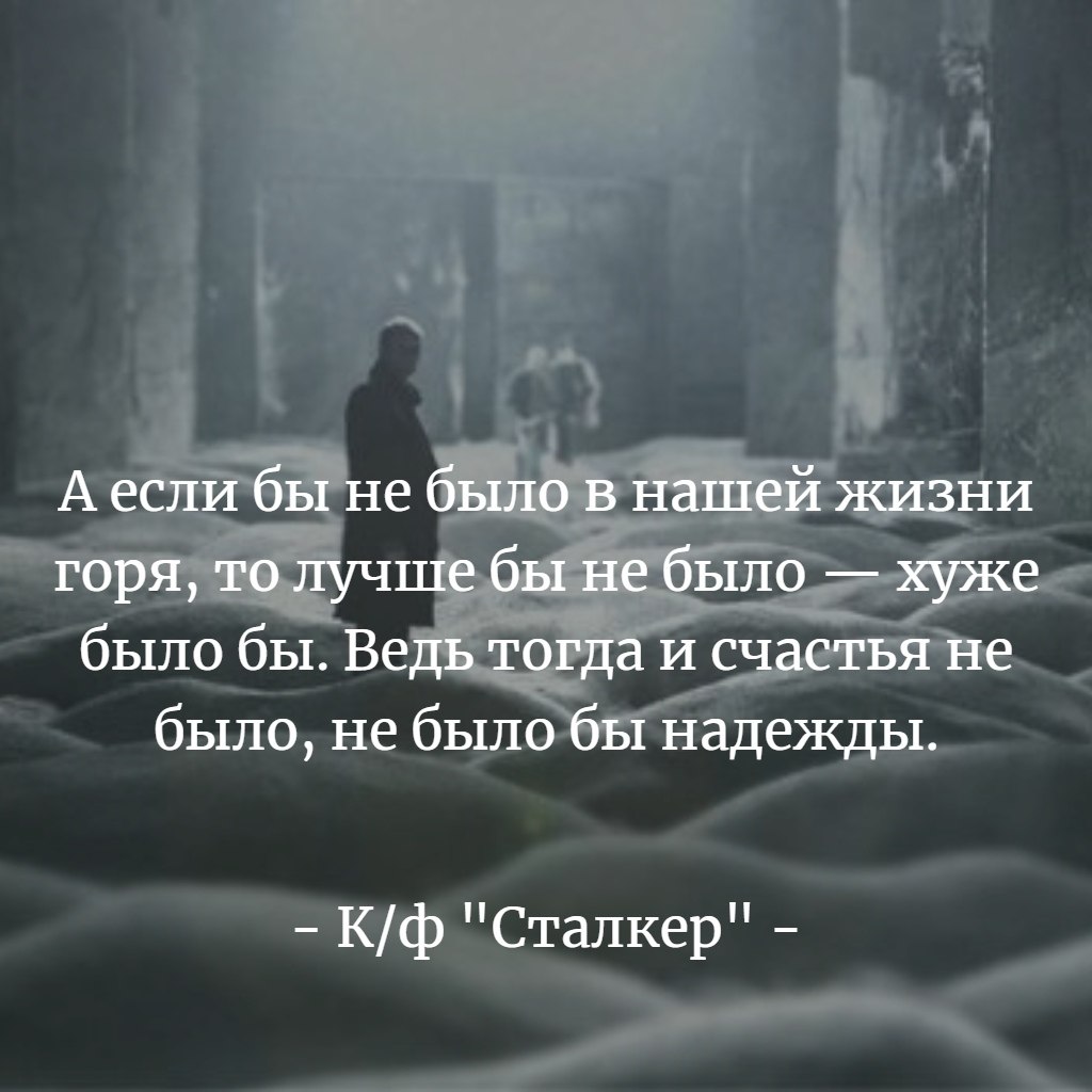 Инстасталкер. Сталкер Тарковский цитаты. Цитаты из фильмов Тарковского. Фраза из фильма сталкер. Андрей Тарковский цитаты.