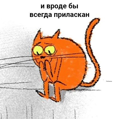  - 25  2019  19:49