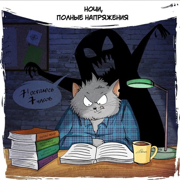 Ночь... Прекрасное время суток! Автор: Bird Born #настроение@ican - 3