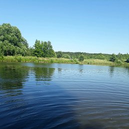 ���� �������, ����� - ��������� 10 ���� 2019