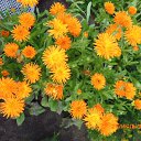 ���� �������, �������, 41 ��� - ��������� 5 ������ 2019 � ������ ������ ��������