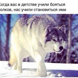���� Artyom, ������, 36 ��� - ��������� 23 ���� 2019