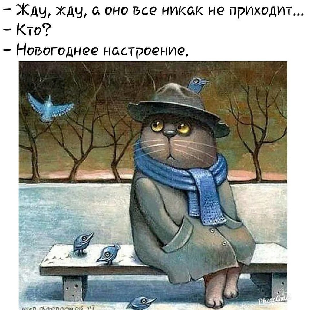   ! - 19  2019  11:23
