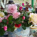 ���� Mikhail, ������������, 73 ���� - ��������� 3 ������ 2019 � ������ ������ ��������