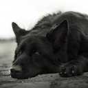 ���� ������, ��������, 56 ��� - ��������� 3 ������� 2019 � ������ ���� ����������