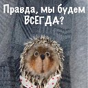 ���� ������, �������, 29 ��� - ��������� 13 ��� 2019 � ������ ���� ����������