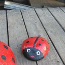 ���� ����, ���������� - ��������� 18 ��� 2019 � ������ ���� ����������