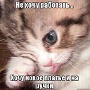 ���� �������, ��������� - ��������� 4 ���� 2019 � ������ ������ ��������