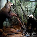 ���� Evgenia, ��������� - ��������� 26 ������� 2019 � ������ ���� ����������