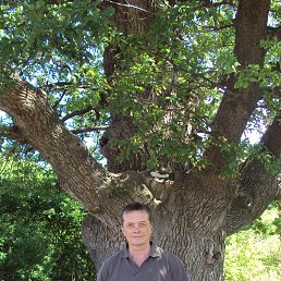 ������, �������, 60 ���