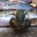  , , 55  -  20  2019   titov.70