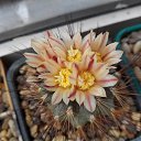 ���� ������, ��������, 55 ��� - ��������� 16 ��� 2019 � ������ ������ ��������