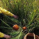 ����� �������!