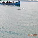 ���� Aru, �������� - ��������� 29 ������ 2019 � ������ �Goa, India�