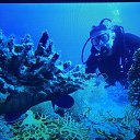 ���� ������, ���������������, 51 ��� - ��������� 27 ������ 2019 � ������ ������ ��������
