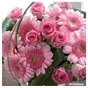 ���� Aleksandr, ����-��� - ��������� 8 ��� 2019 � ������ ������