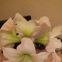 ���� ������, ������, 64 ���� - ��������� 23 ������ 2019 � ������ ���� ����������