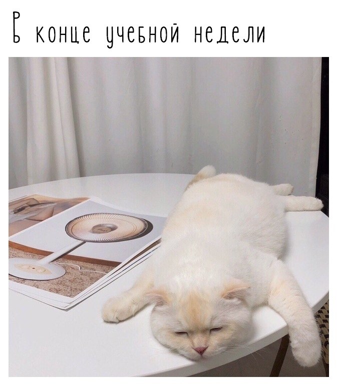   - 13  2019  02:12