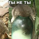 ���� ���������, ������ ��������, 44 ���� - ��������� 30 ���� 2019