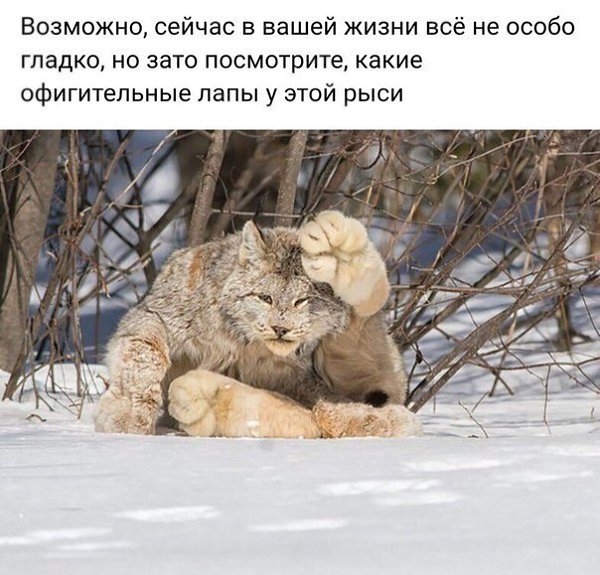 ? ,  ! - 11  2019  19:01